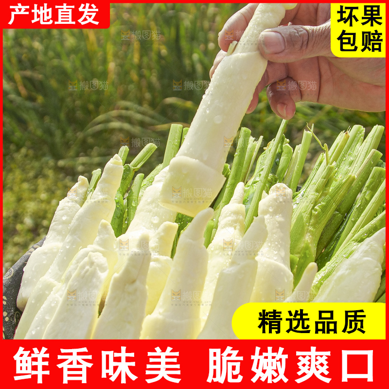 手里拿着新鲜茭白