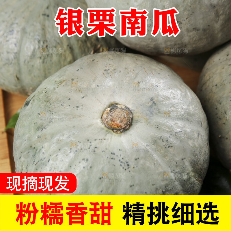 深底上的银栗南瓜