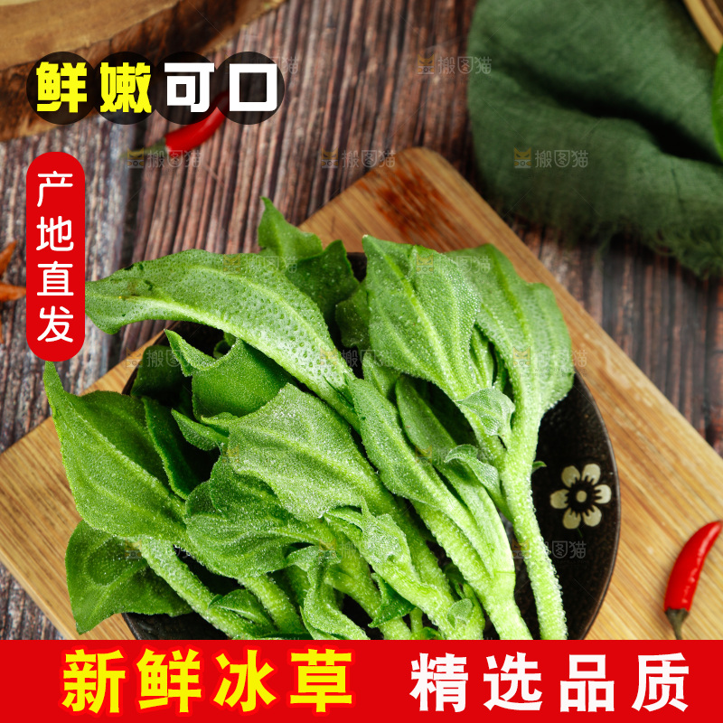 深底上的冰草