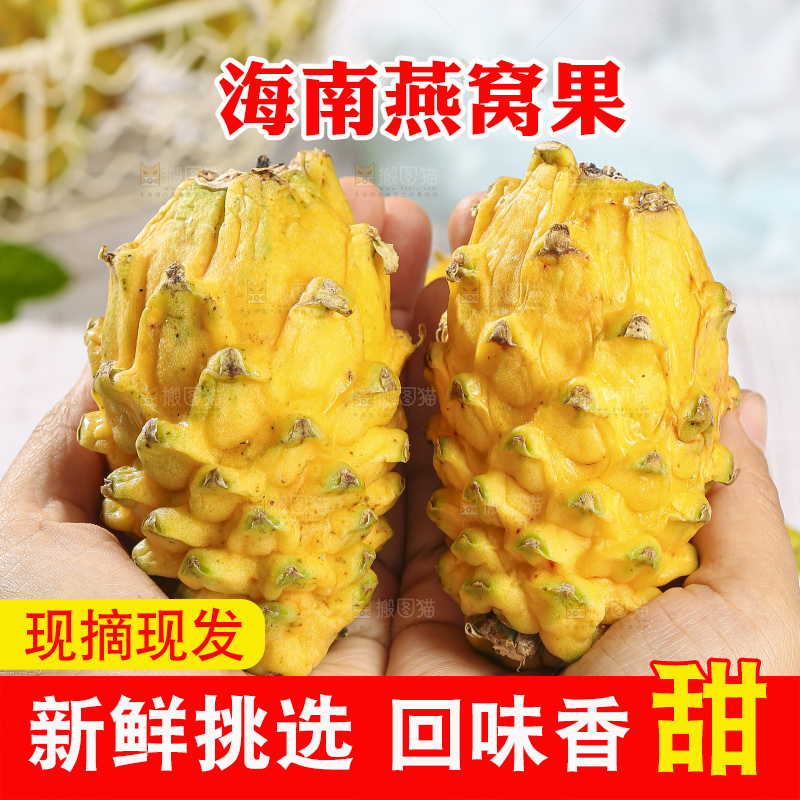 浅底上的燕窝果