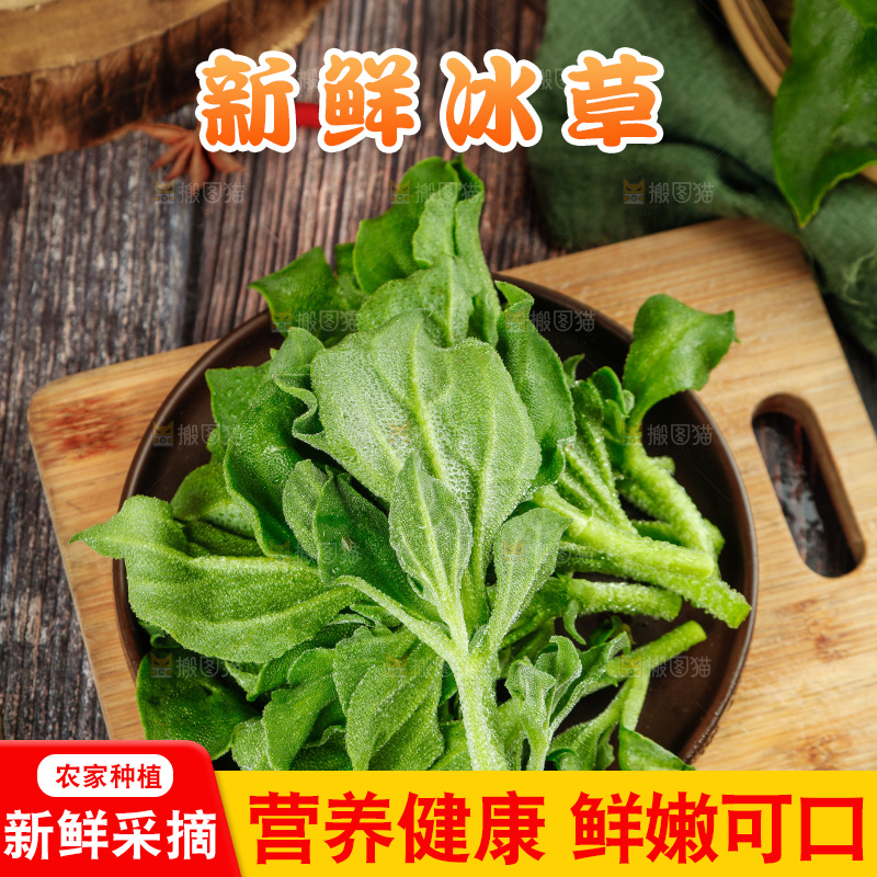 深底上的冰草