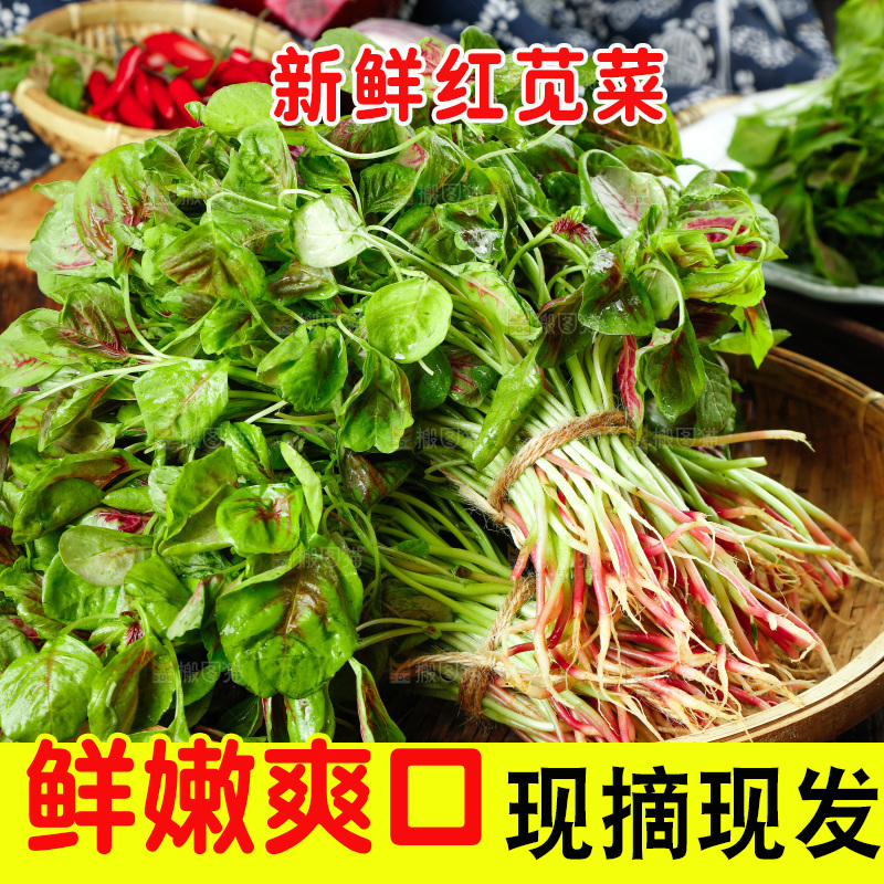 深底上的新鲜苋菜