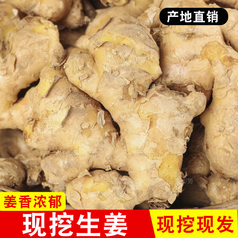 深底上的新鲜生姜