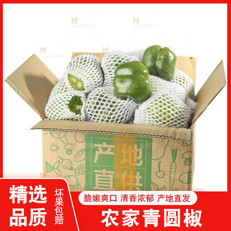 白底上的青圆椒