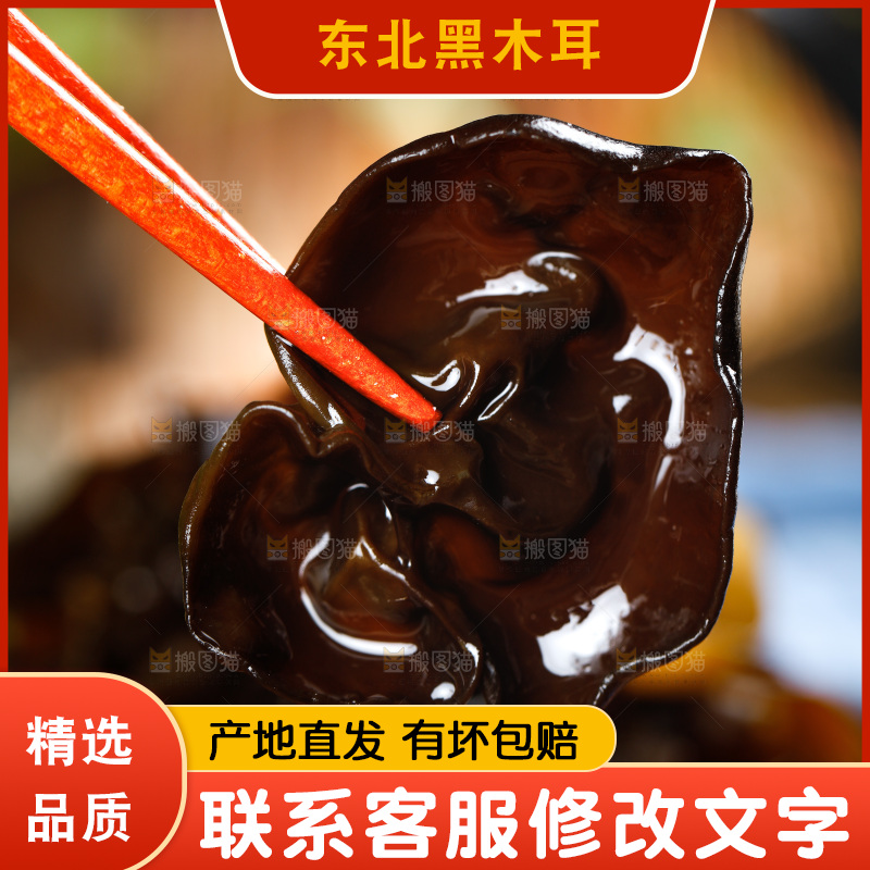 木底上的野生木耳
