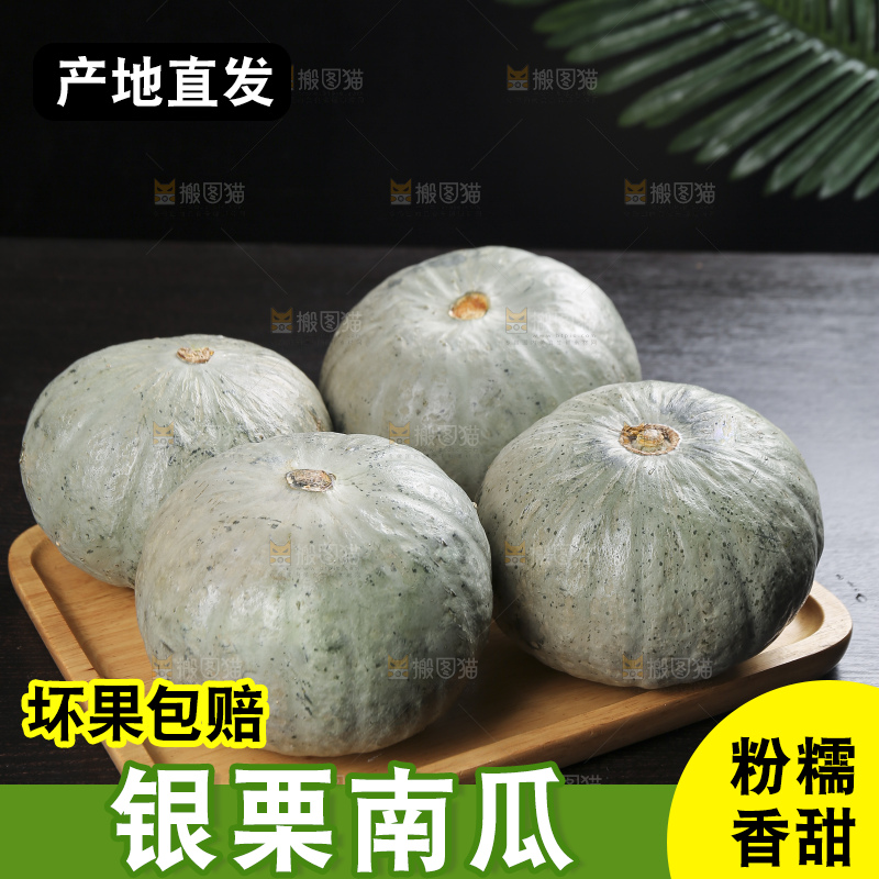 深底上的银栗南瓜