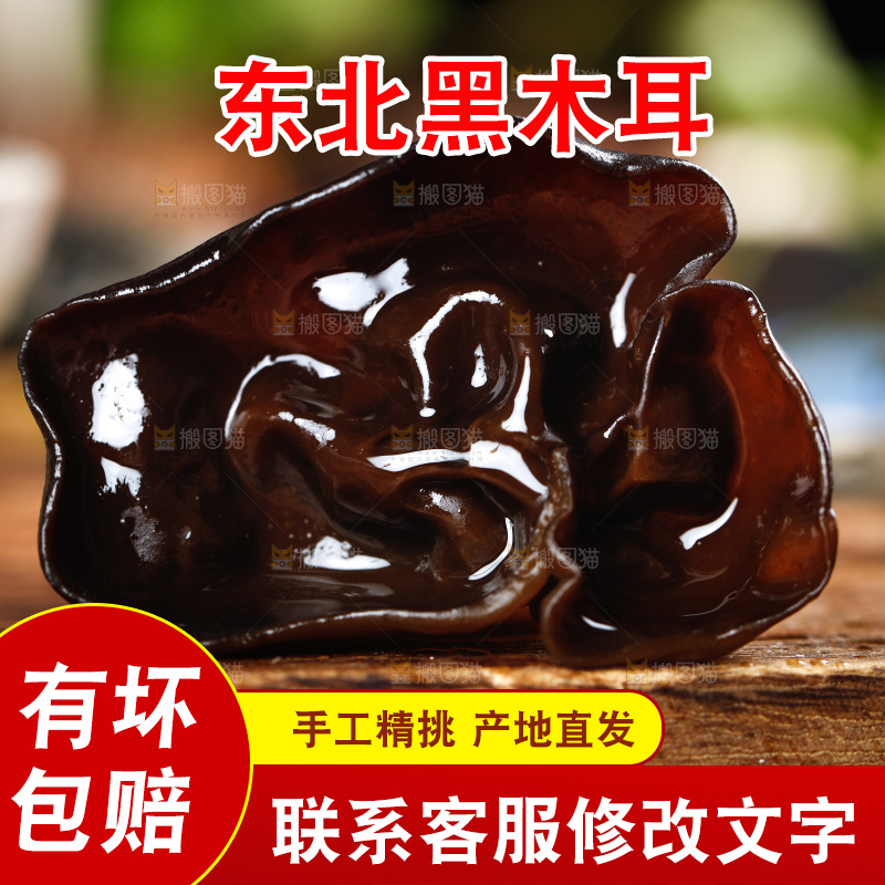 木底上的野生木耳