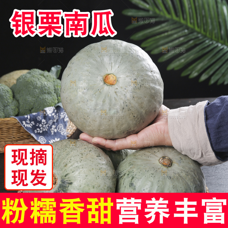 深底上的银栗南瓜