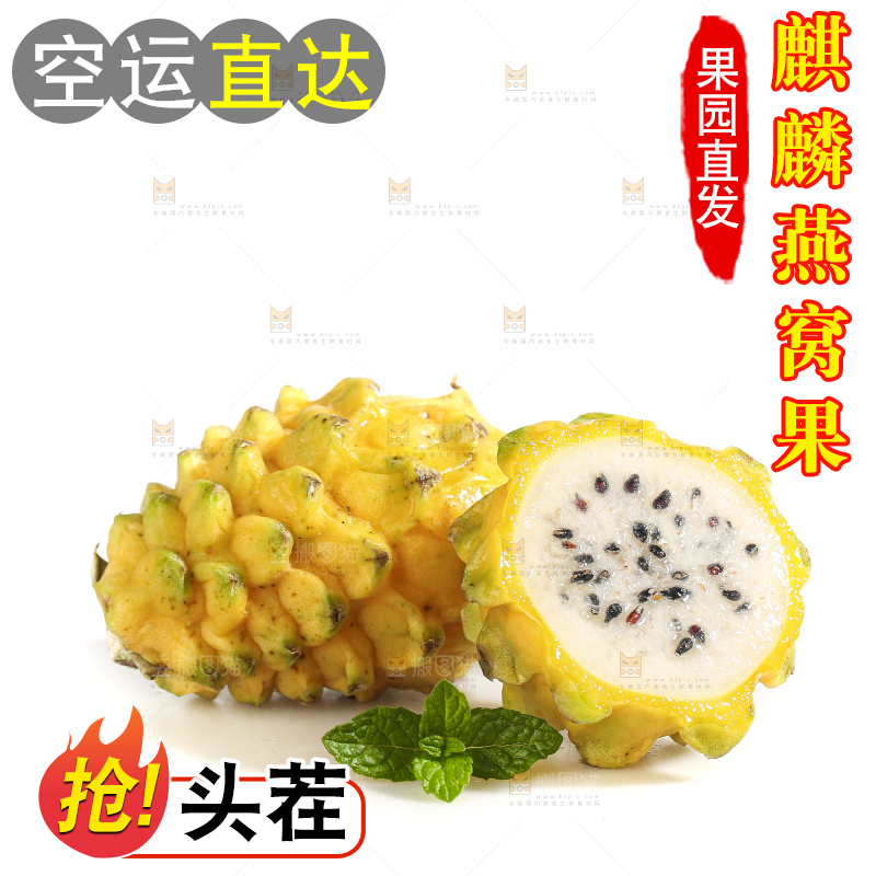 白底上的燕窝果