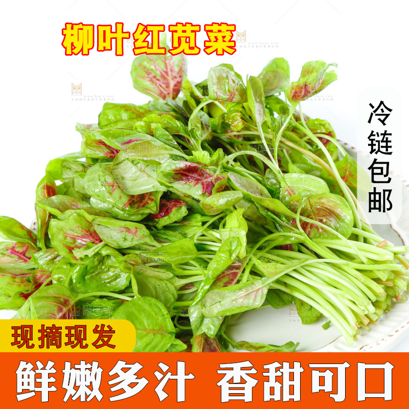 白底上的农家苋菜