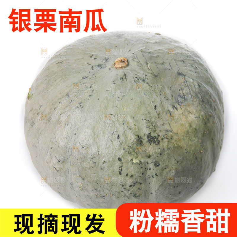 白底上的银栗南瓜