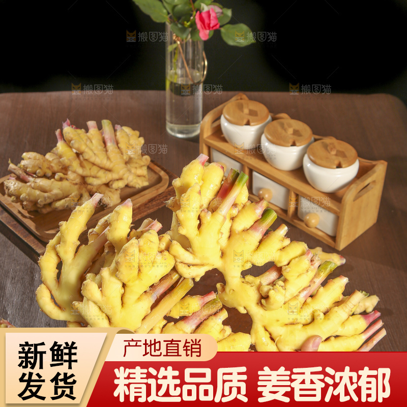 深底上的小黄姜
