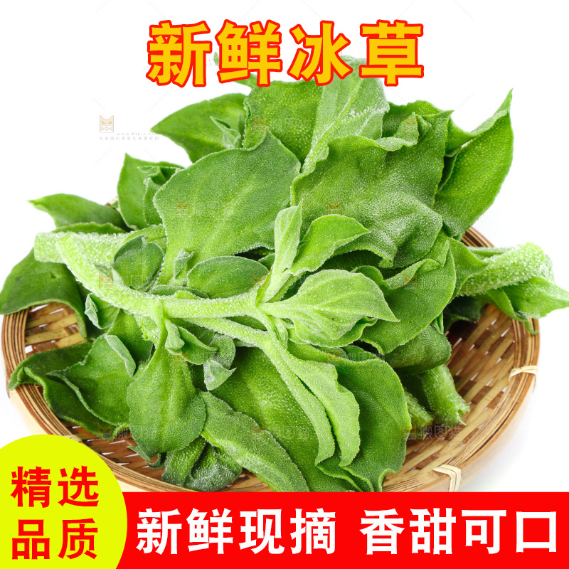 白底上的冰草
