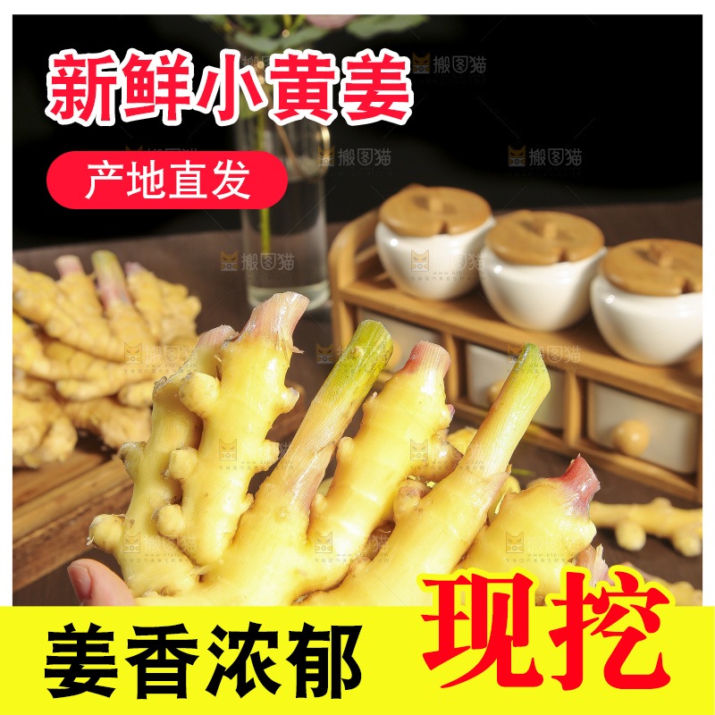 深底上的小黄姜