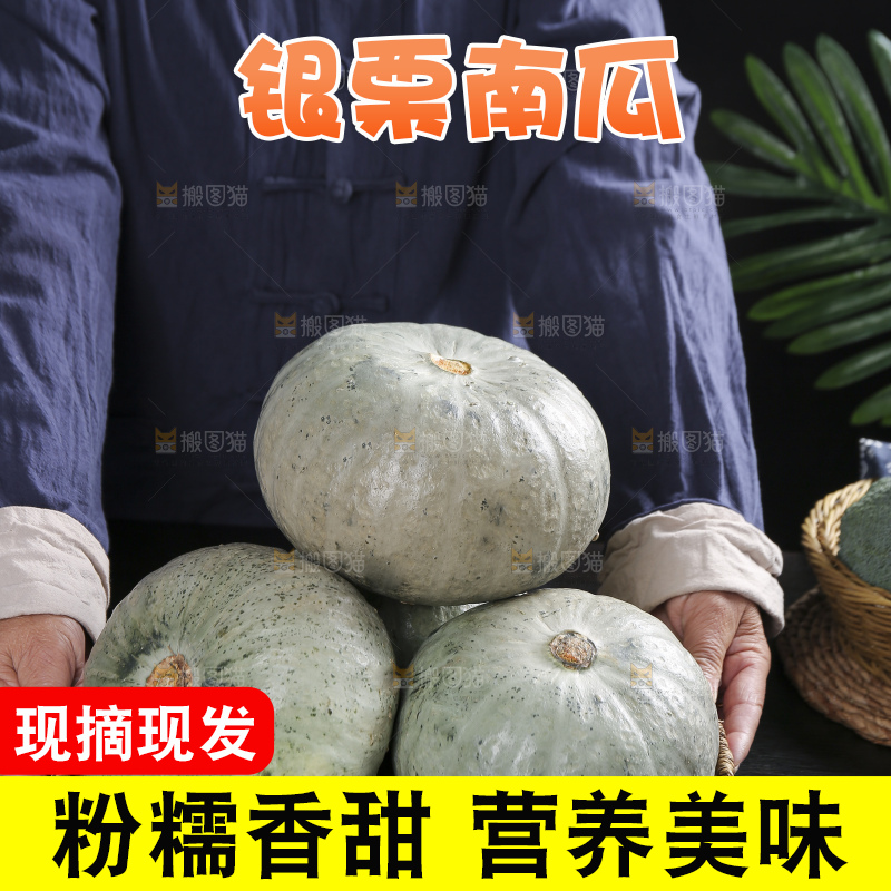 深底上的银栗南瓜