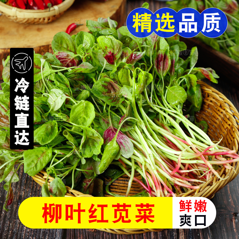深底上的新鲜苋菜