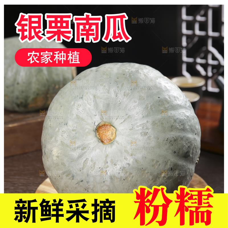 深底上的银栗南瓜