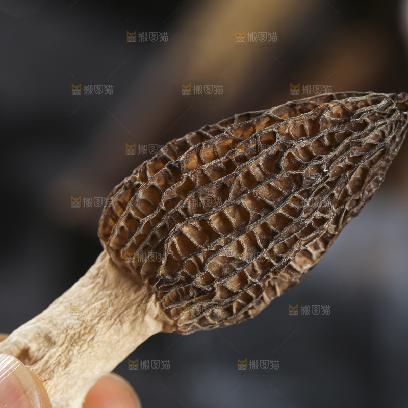 木底上的菌菇汤