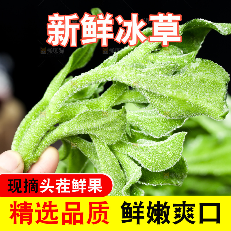 深底上的冰草