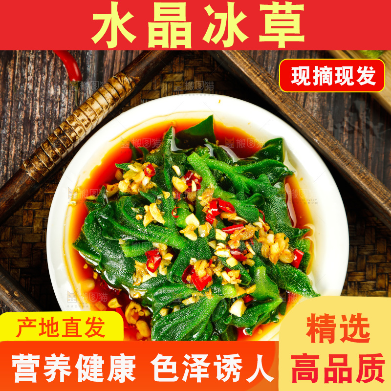 深底上的冰草