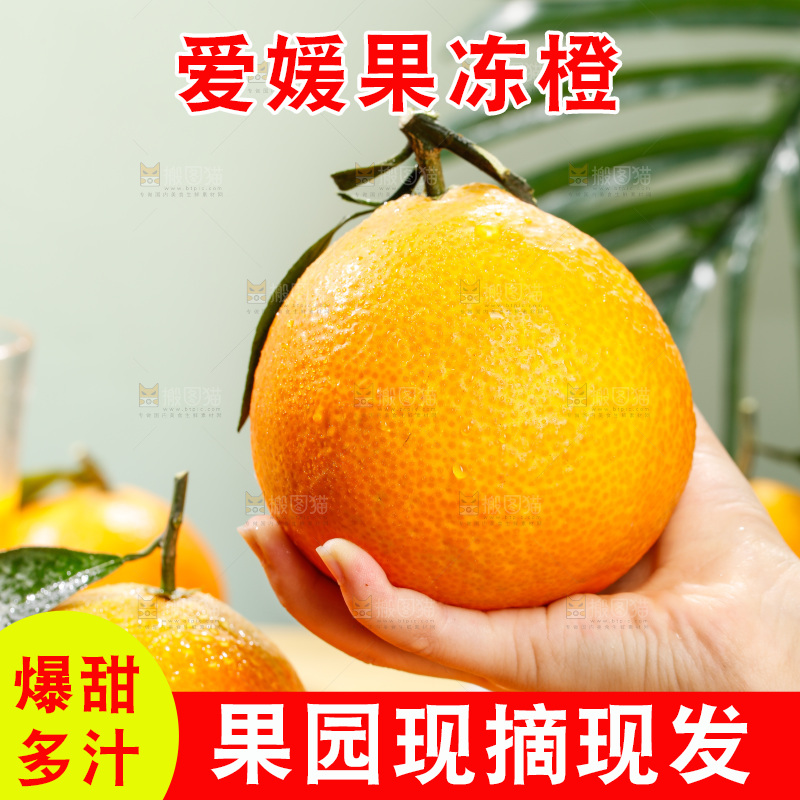 浅底上的爱媛果冻橙