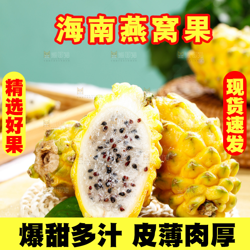 浅底上的燕窝果