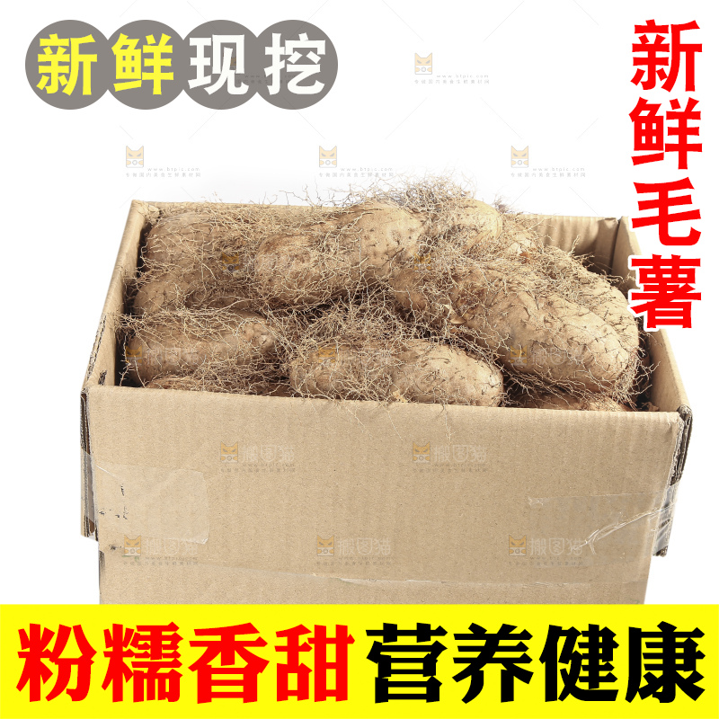 白底上的新鲜毛薯