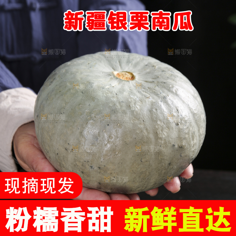 深底上的银栗南瓜