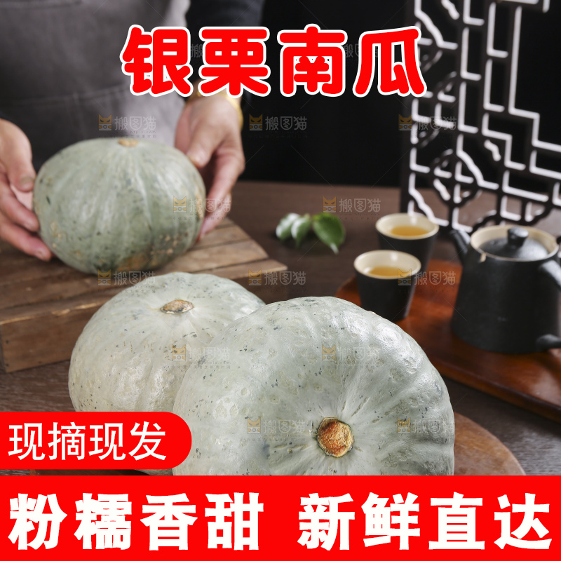 深底上的银栗南瓜
