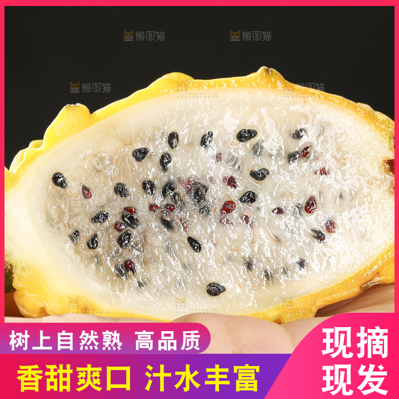 深底上的燕窝果