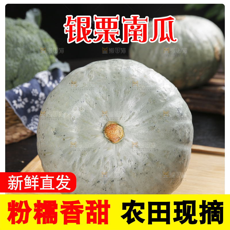 深底上的银栗南瓜
