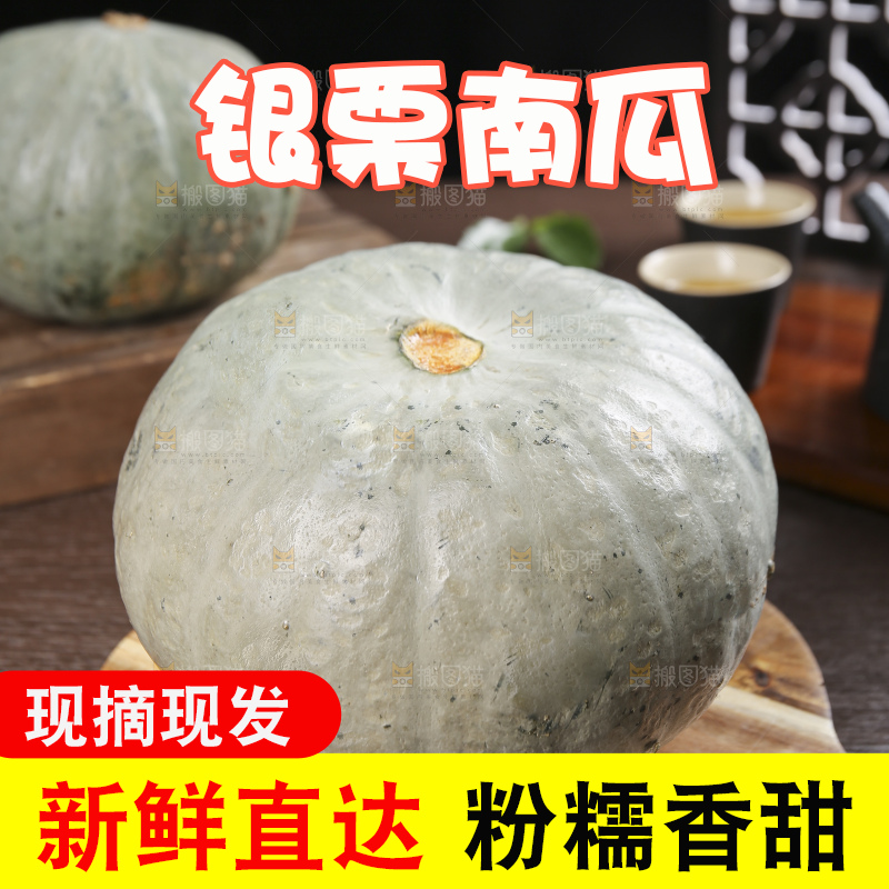深底上的银栗南瓜