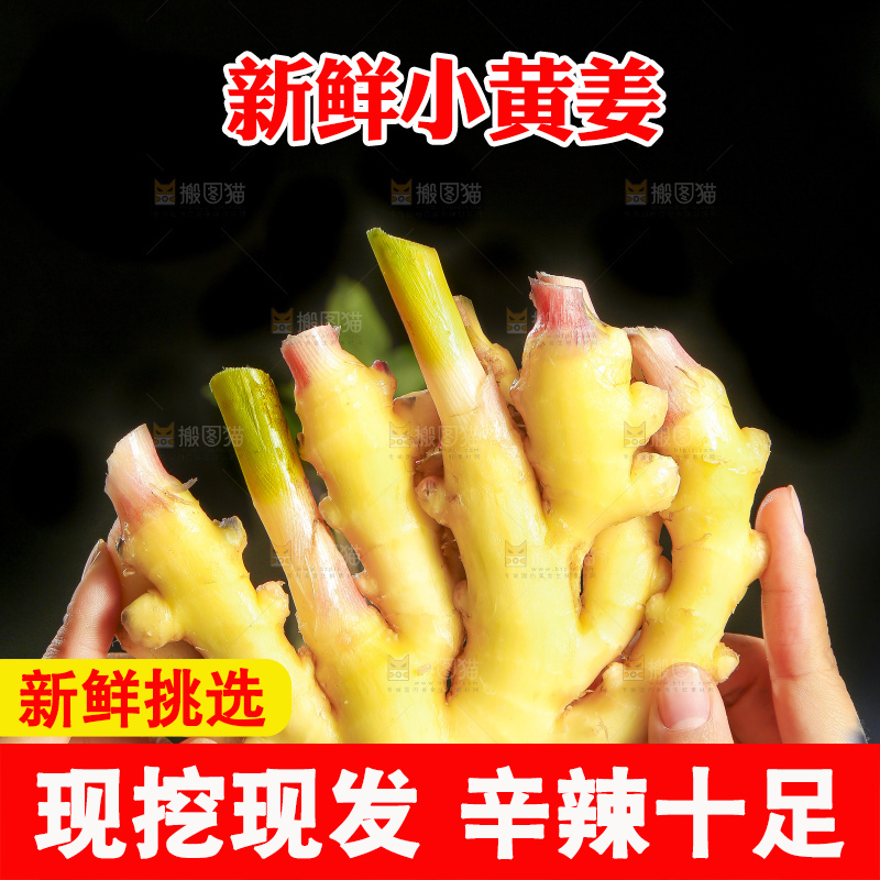 深底上的小黄姜