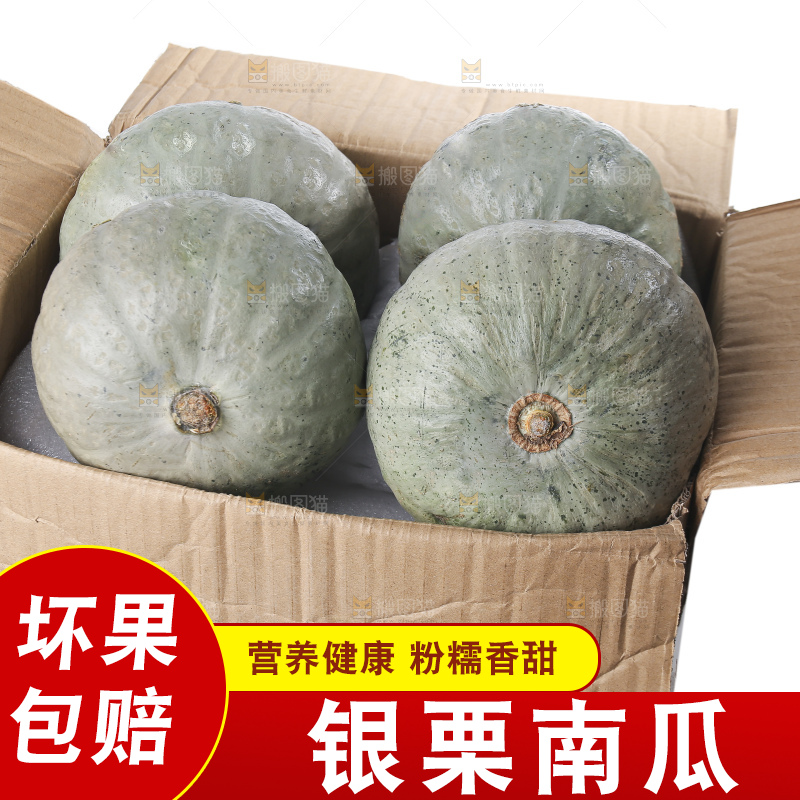 白底上的银栗南瓜