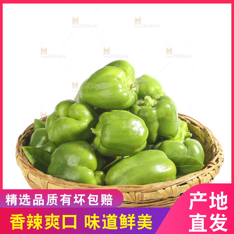 白底上的青圆椒