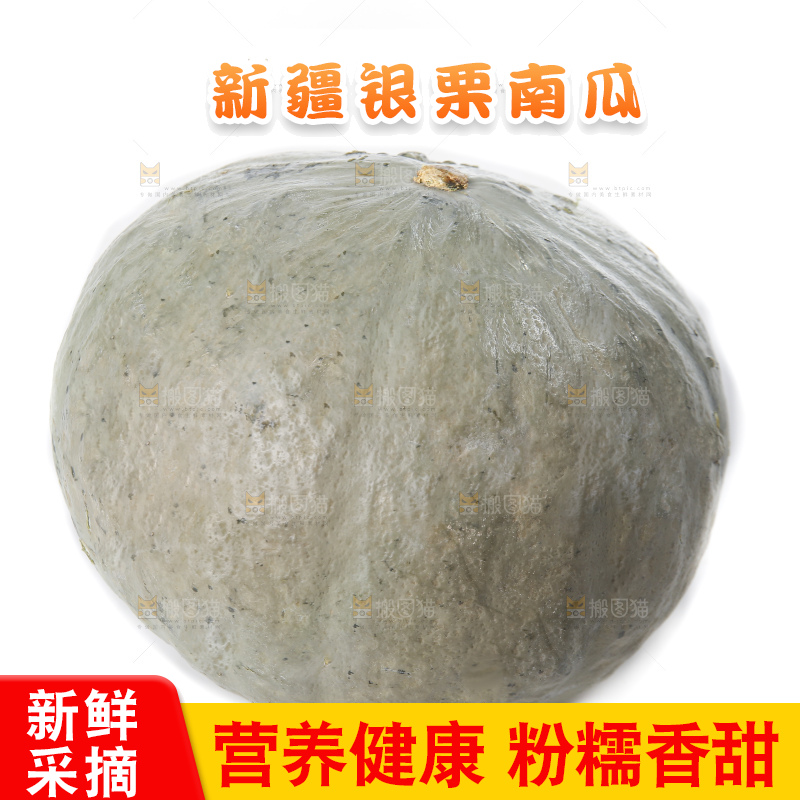 白底上的银栗南瓜