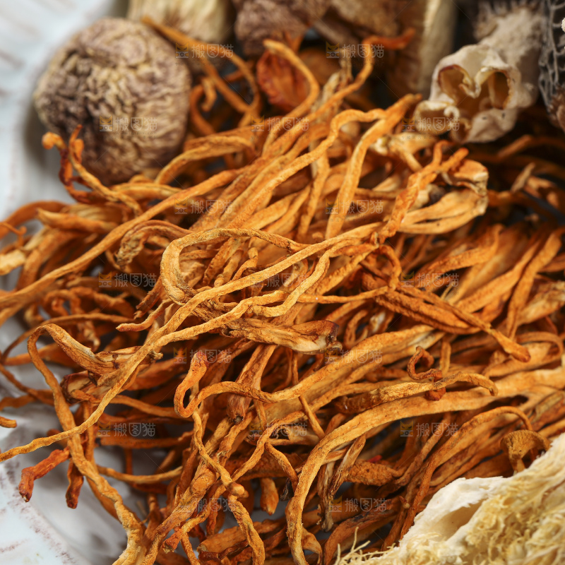 木底上的菌菇汤