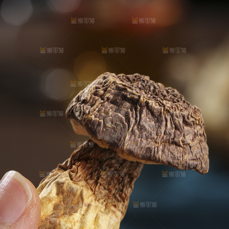 木底上的菌菇汤