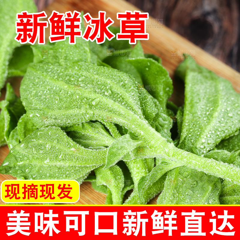 深底上的冰草