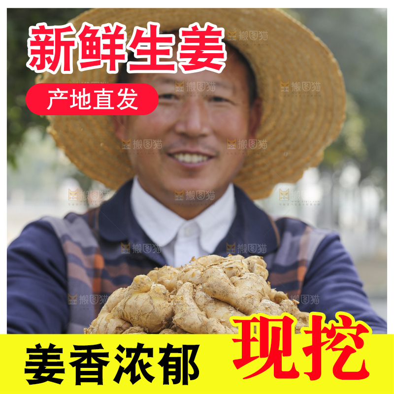 手里拿着新鲜生姜