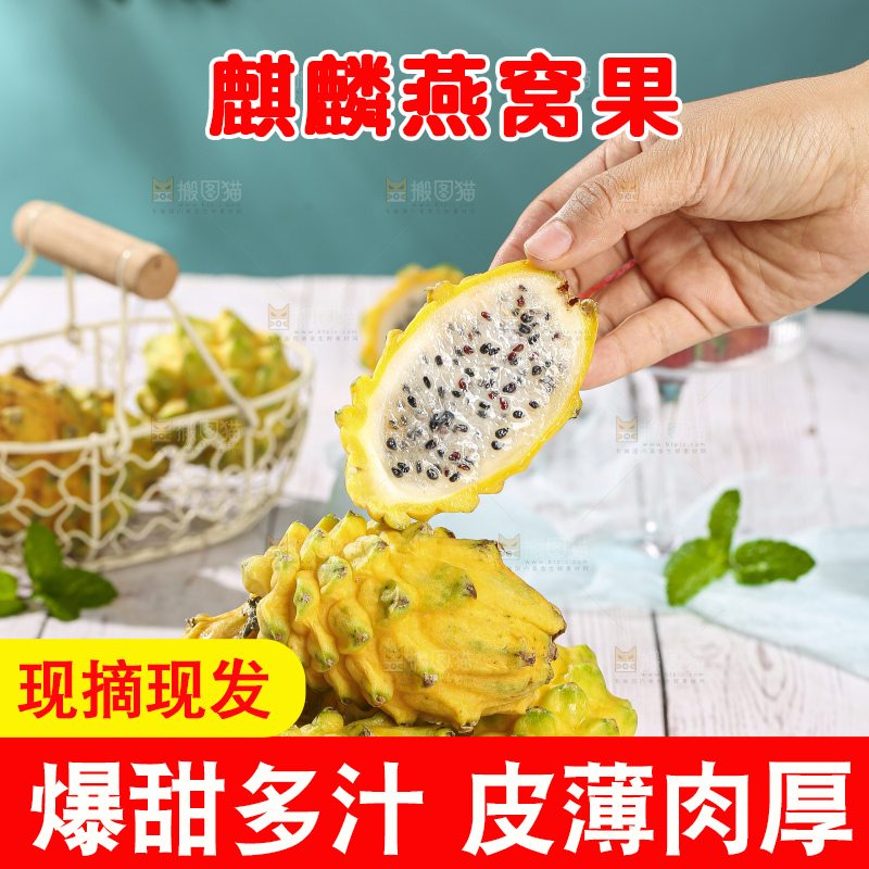 浅底上的燕窝果