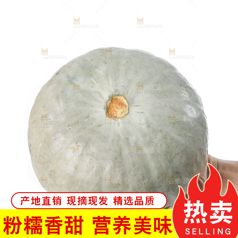 白底上的银栗南瓜