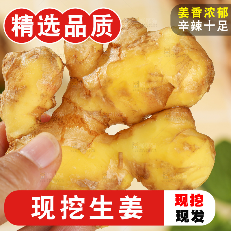 浅底上的新鲜生姜