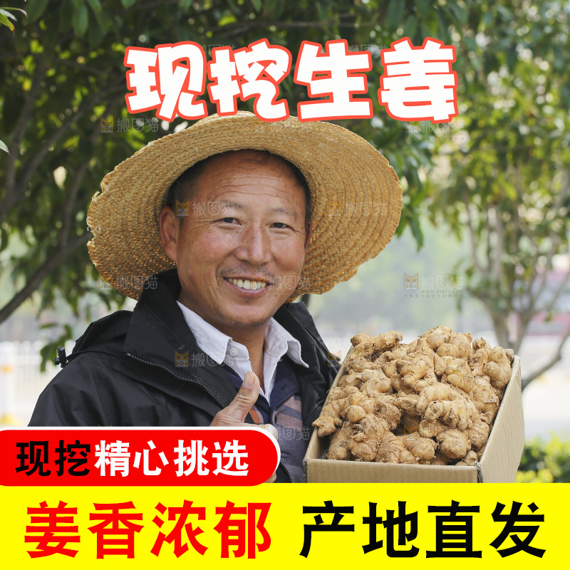 手里拿着新鲜生姜