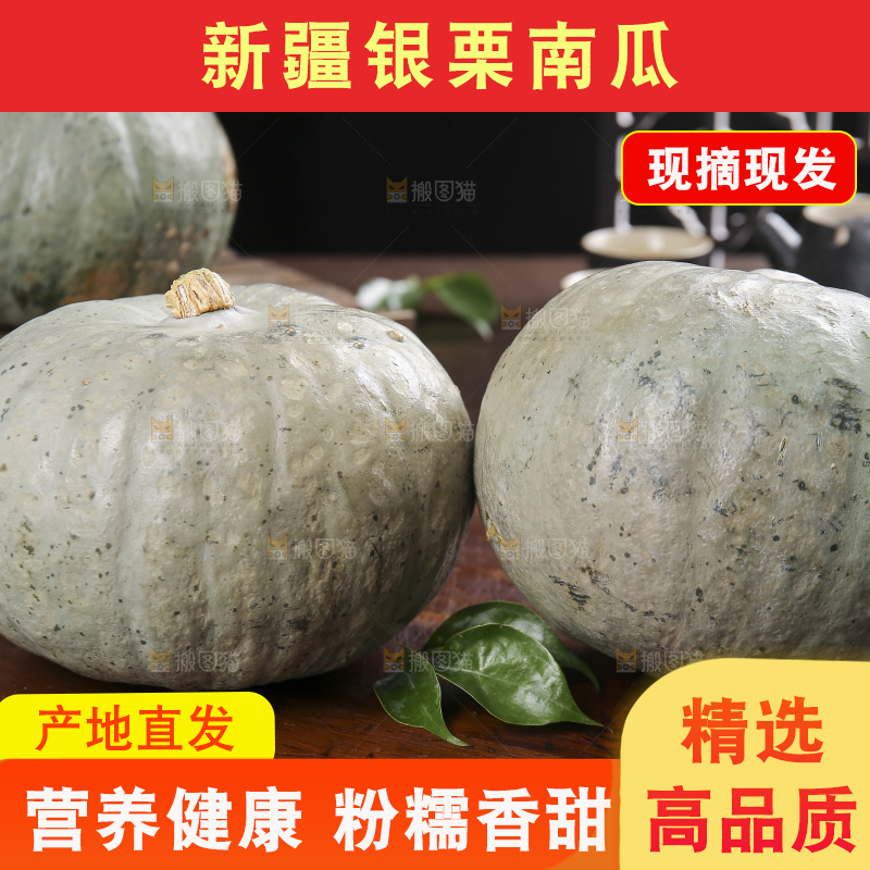 深底上的银栗南瓜