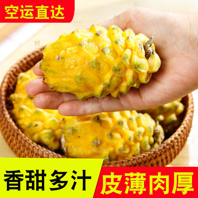 浅底上的燕窝果