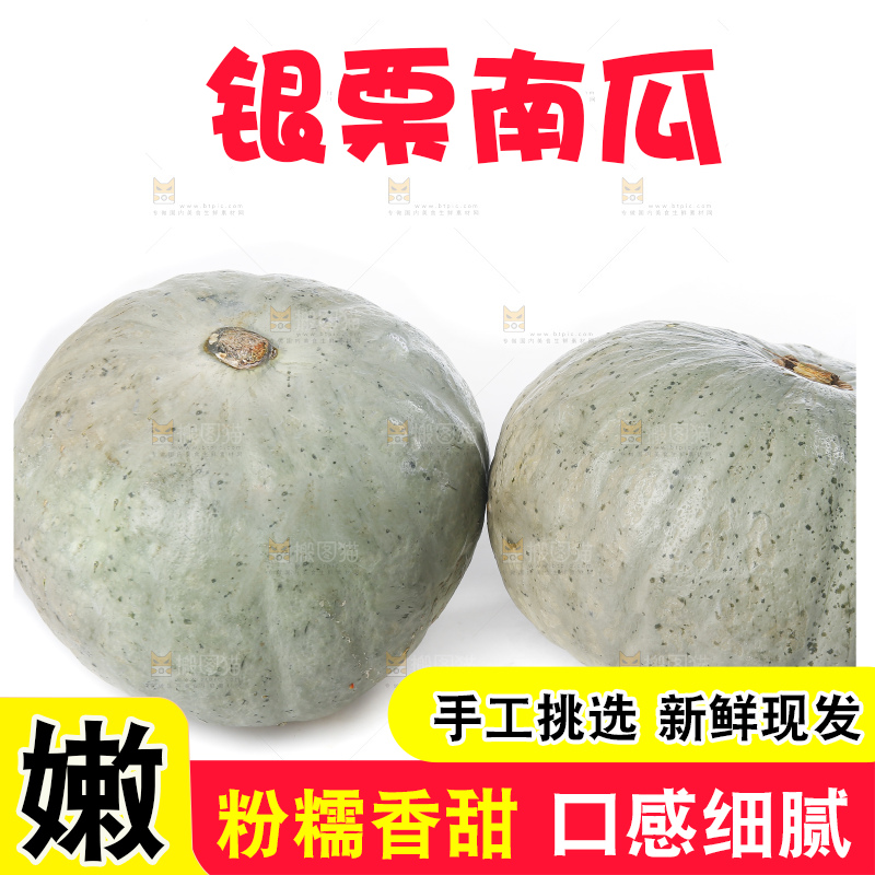 白底上的银栗南瓜
