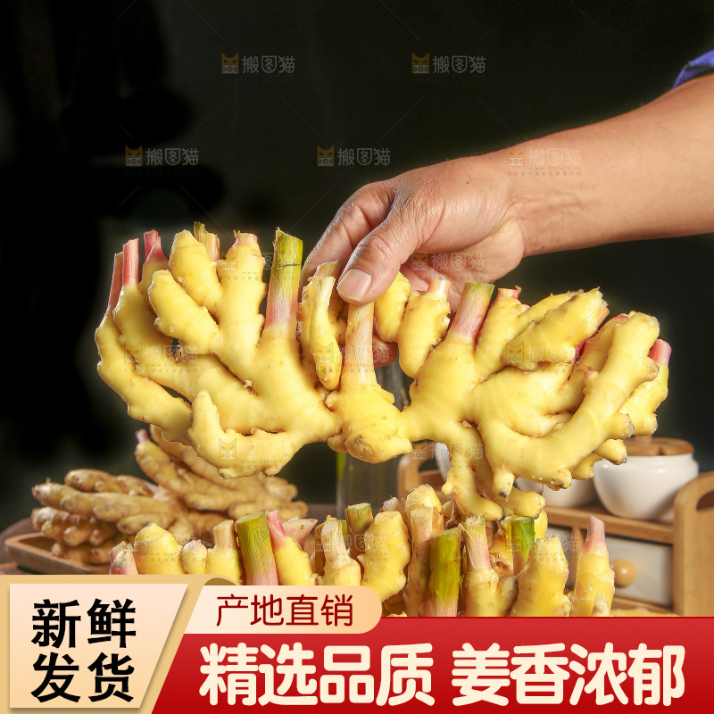 深底上的小黄姜
