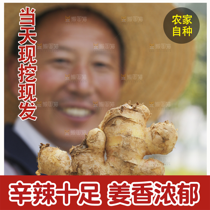 手里拿着新鲜生姜