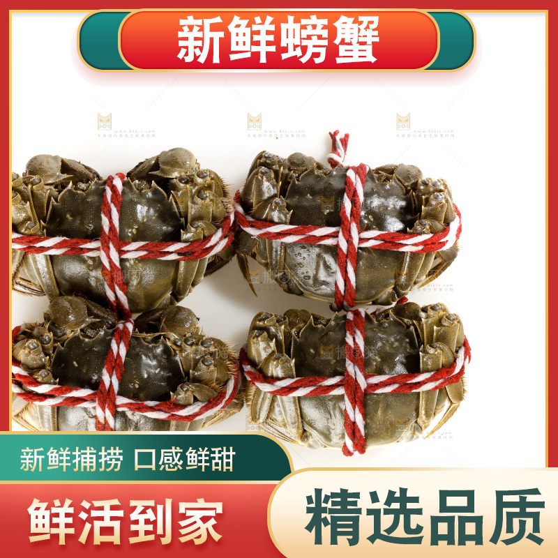 白底上的大闸蟹